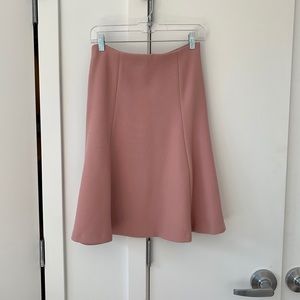 Ann Taylor Pink Fit & Flare Skirt Size 2
